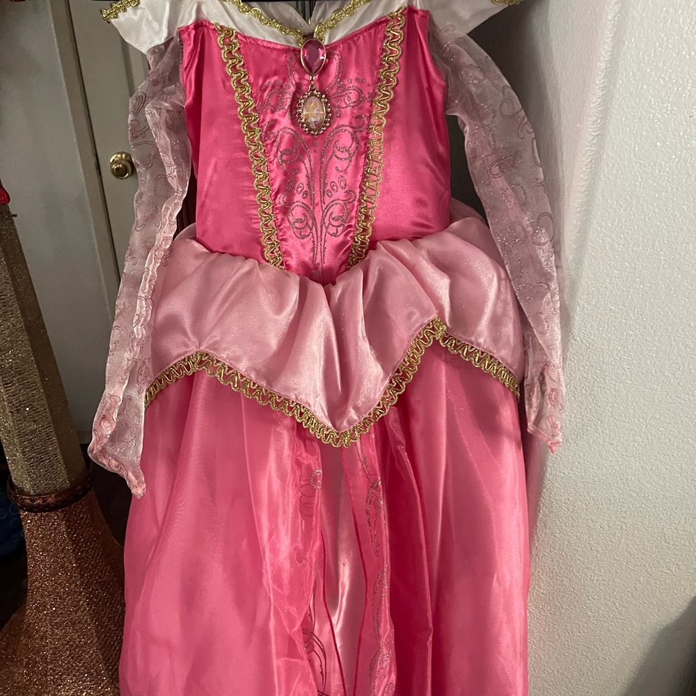 Disney Enchanting Pink and Gold Costume